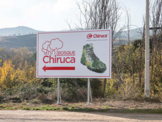 Calzados Fal compensará al 100% las emisiones de CO2 derivadas de su devastador incendio